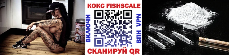 Кокаин Fish Scale  кракен ONION  Щёкино 