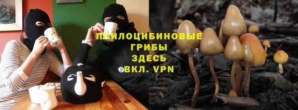 эйфоретик Абаза