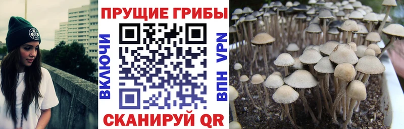 Псилоцибиновые грибы мицелий  Щёкино 